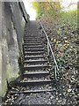 SJ8049 : Steps up to road level from old railway line by Jonathan Hutchins
