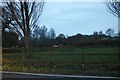 Field by Leighton Buzzard Road, Water End