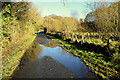 Water lying along Magherenny Road