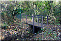 Bridge in Piggy Wood