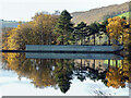 Reflection in the reservoir