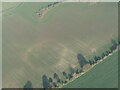 Circular cropmark on field near Acthorpe: aerial 2022