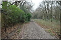 Footpath on the edge of Horley