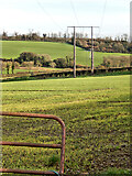 S7465 : Field and Powerlines by kevin higgins
