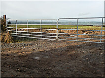 S7364 : Gate and Field by kevin higgins