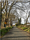 S7263 : Road Junction by kevin higgins