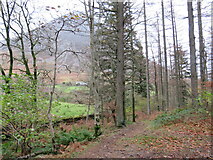 NY1520 : Woodland path near Keswick by Malc McDonald