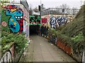 SK5537 : Graffiti covered subway by David Lally