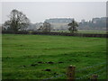 View to Plantation Lane