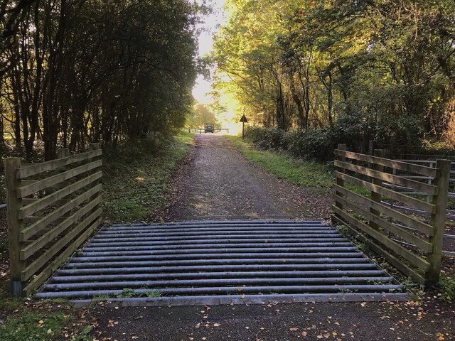 Cattle grid on NCN Route 6