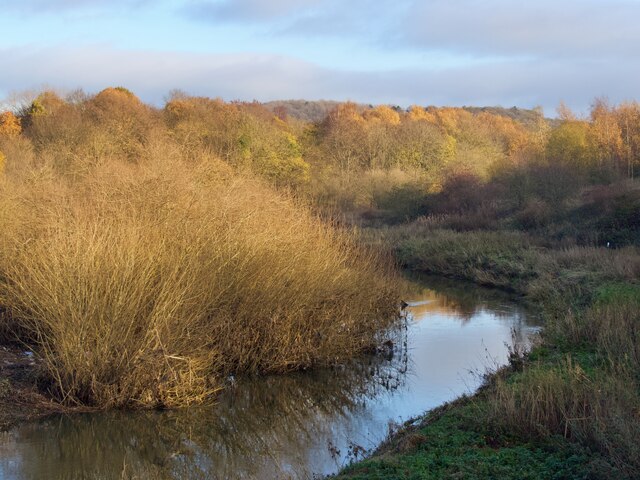 The River Dearne at Denaby Ings