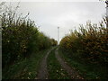 SK6840 : Footpath and telecommunications mast, Saxondale by Jonathan Thacker