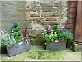 Flower boxes, St. Andrew