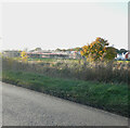 Sevington Lakes from Cheeseman?s Green Lane