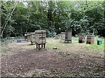 SU5850 : Hives in St John's Copse by Mr Ignavy
