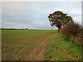 Footpath to the Fosse Way