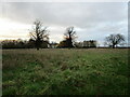 Grass field and Cropwell Grange