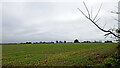 Staffordshire farmland near Bishopswood