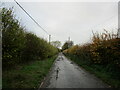 SK6840 : Lane at Saxondale by Jonathan Thacker