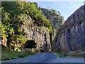 ST4754 : Cliff Road in the Cheddar Gorge by Mat Fascione