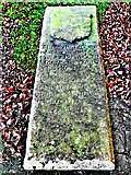 NS4927 : Willie Fisher's Gravestone (1737-1809) - Mauchline by Raibeart MacAoidh