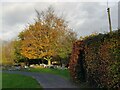 Autumn colour St Philip and St James