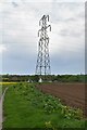 Pylon by bridleway