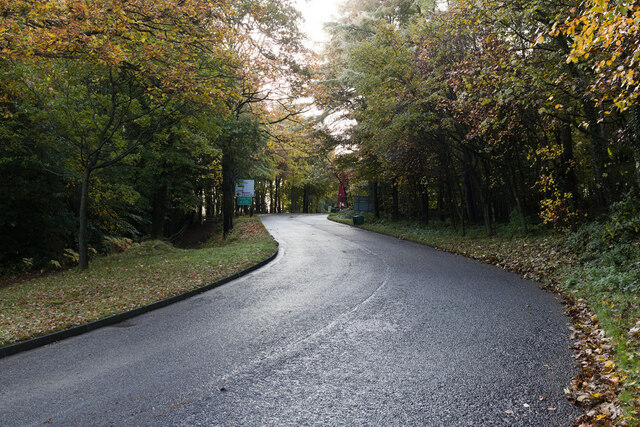 Entrance road, Beamish Museum