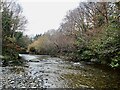 A quiet December day on the Shimna above the Roughing Grill