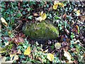 SO6814 : Old Boundary Stone, Blakemore Hale by Mr Red