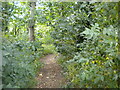 Public bridleway off Wood Lane, Church Warsop (2)