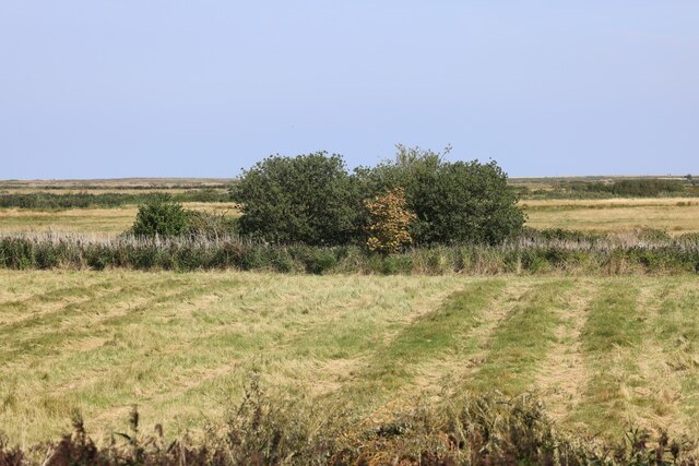 Field near Blakeney, Norfolk