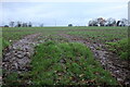 Field in Little Wymondley