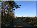 Pasture Lane and Ashby Pastures Cottages