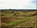 Rough pasture around a dry valley