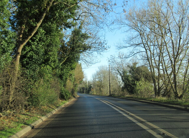 The B439 Eastbound at Bordon Wood
