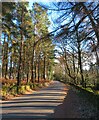 Country road, Warsill