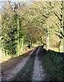 Track and bridleway near Warsill