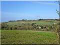 View over Wooburn Manor Park