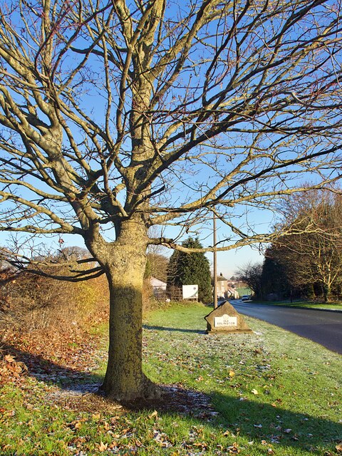 Winter tree by the village boundary sign