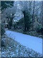 Higher Houghton Road in the snow