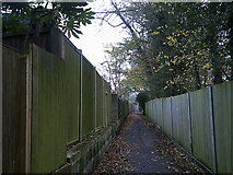 SU8649 : Path between Southmead Road and Centenary Lodge by Basher Eyre