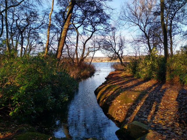 Stream towards the loch