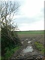 Field west of Ashton Barton