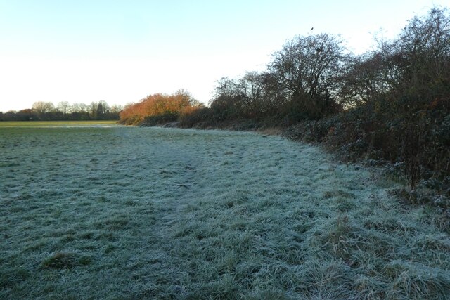 Frost On Walmgate Stray © Ds Pugh Cc By Sa20 Geograph Britain And Ireland 9302