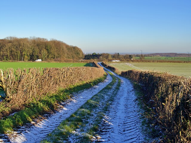 Snow covered bridleway