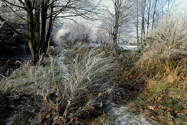 Frosty path along the Camowen River