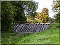 Latimer Park Weir