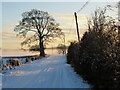 Snow and mist near Devonburn