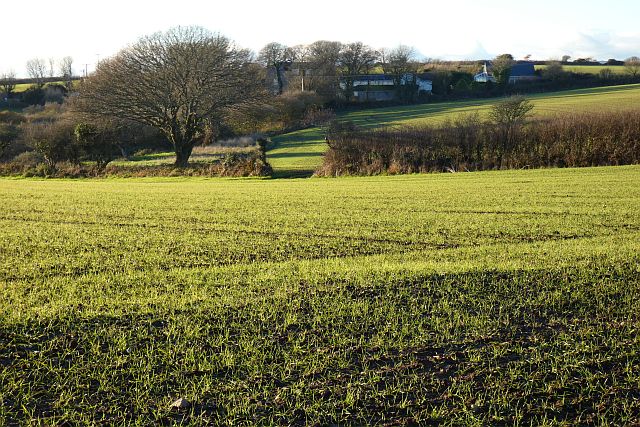 Farmland, Stithians